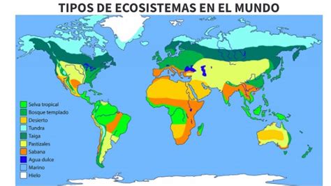 Ecosistemas En El Mundo