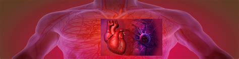 Trends In Cardio Oncology And The Implications For Detecting Cardiac
