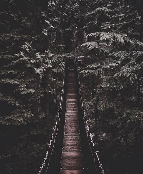 1068 x 1896 jpeg 39 кб. aesthetic, alternative, background, beautiful, bridge ...
