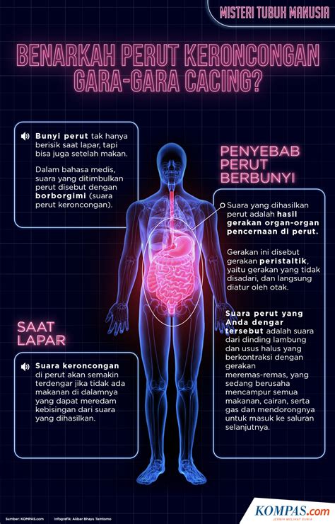 01.tangan anda bisa memiliki pikiran sendiri ingatkah anda tokoh devon sawa pada film idle hands thn 1999, sebuah film komedi horror tentang seorang. INFOGRAFIK: Misteri Tubuh Manusia, Perut Keroncongan Gara-gara Cacing?