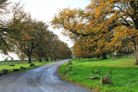 Should you need urgent health advice please contact your gp or call nhs 111. aliwalks : Keyham circular