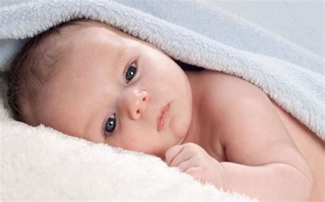 Los 6 Mejores PaÑales Para ReciÉn Nacidos De 2024 Bebetop