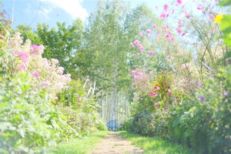 【北海道ガーデン】ノームが住むかわいいガーデン「上野ファーム」 | ひとり旅diary