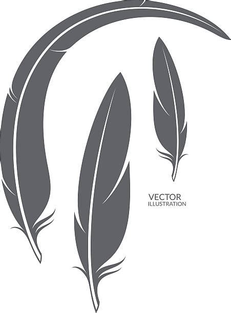 Crow Feather Illustrations Royalty Free Vector Graphics And Clip Art