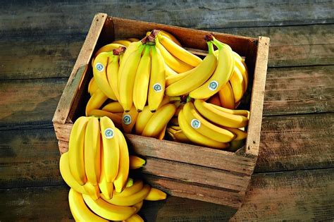 Mixed Year For Rainforest Alliance Bananas Article Fruitnet