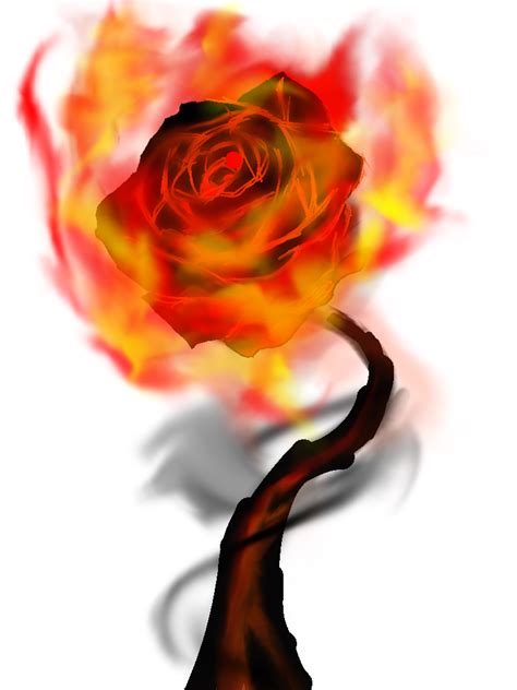 Fire Rose By Violetelementpaws On Deviantart