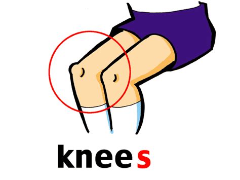 Clipart Of Knee 10 Free Cliparts Download Images On Clipground 2024