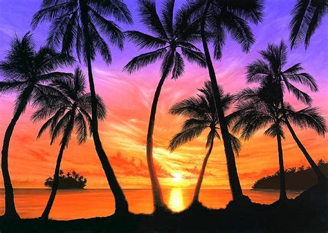 Palm Beach Sunset Sea Oceans Sunsets Beaches Attractions In Dreams