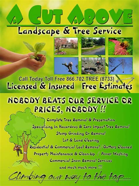 A cut above tree service reviews. A Cut Above Landscape & Tree Service - Fredericksburg VA ...