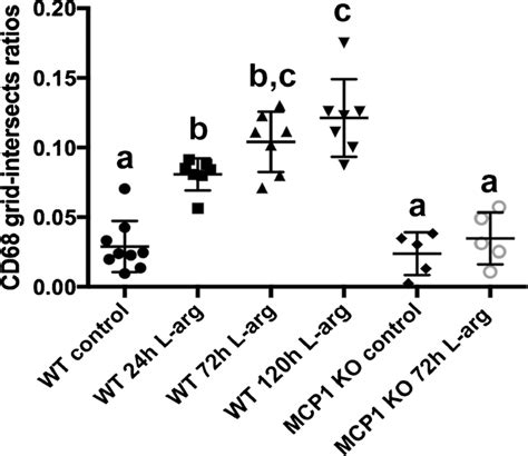 Ratios Of The Number Of Grid Intersects Overlaying Cd68 Positive Septal