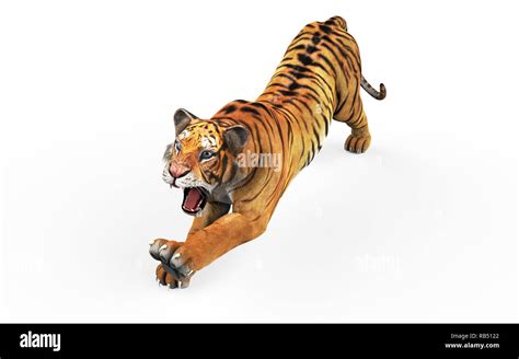 Tiger Jumping 3d Render Hi Res Stock Photography And Images Alamy