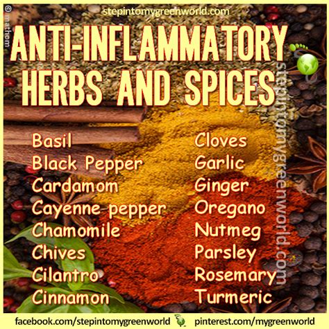 Anti Inflammatory Herbs And Spices The Mystical Raven