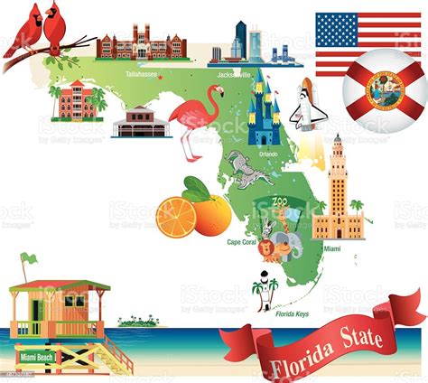 Cartoon Map Of Florida Stock Illustration Download Image Now
