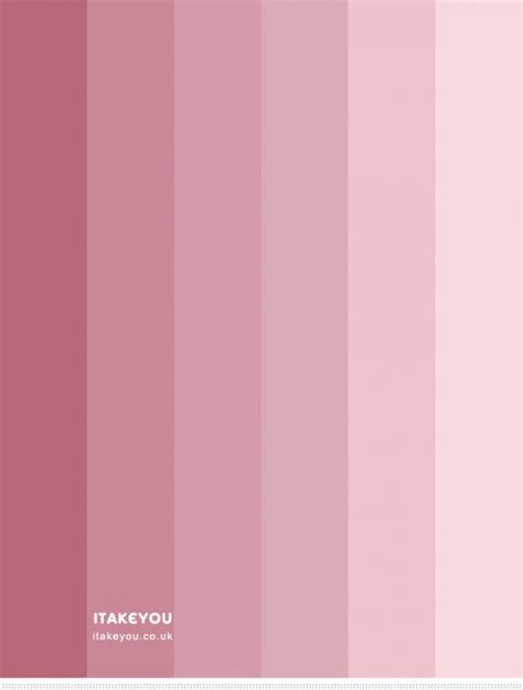 Pink Rose Colour Scheme Shades Of Pink Colour Palette Pink Combos