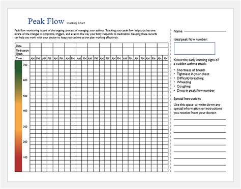 Asthma Peak Flow Charts Pdf Ms Word Download