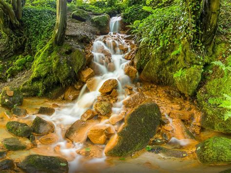 Beautiful Waterfall Rocks With Brown Color Coast Green Moss Trees Fern