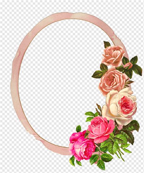 Bingkai Oval Dengan Ilustrasi Bunga Frame Paper Rose Flower