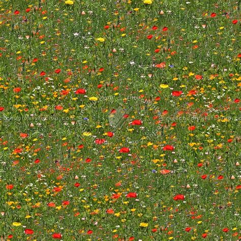 Texture Seamless Flowery Meadow Texture Seamless 12949 Textures