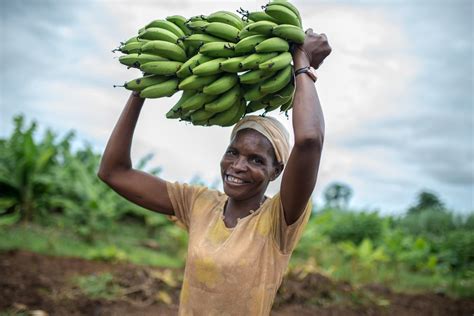 Go Bananas Discover Where Food Comes From Oxfam Gb