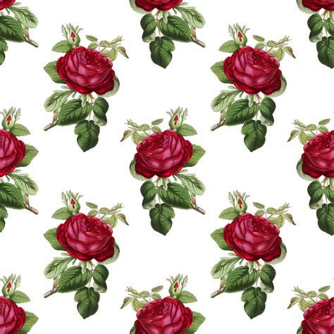 Red Roses Vintage Background Free Stock Photo Public Domain Pictures
