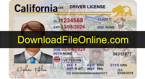 Editable Blank California Drivers License Template Png Pnghq