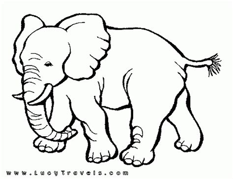 Coloriages à Imprimer Animaux Carnivores Numéro D5677f1d