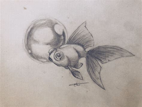 Pez Burbuja Animales Dibujados A Lapiz Dibujos Peces Dibujos