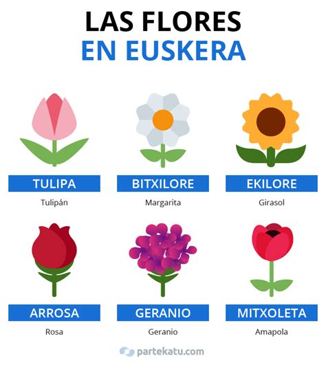 Lista 93 Foto Tipos De Flores Y Sus Nombres En Español Mirada Tensa