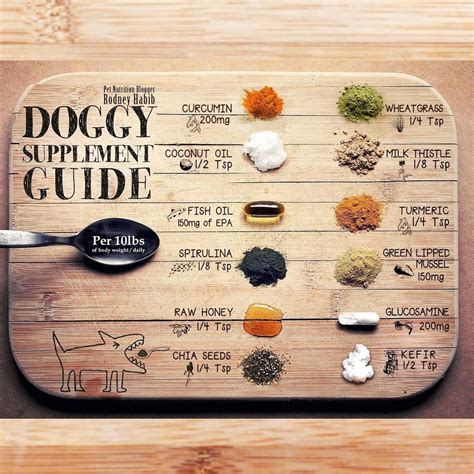 Cats digest raw food better because they have short, acidic digestive tracts. dog supplement guide | Raw dog food recipes, Animal ...