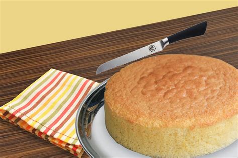 Make Vanilla Cake Without Eggs At Your Home Nature Bring Recipe