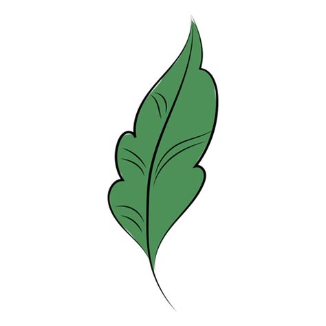 Diseño Png Y Svg De Naturaleza Hoja Plana Para Camisetas