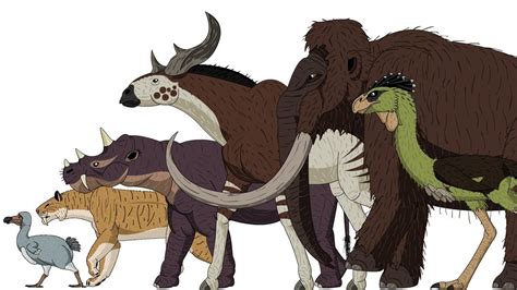 Cenozoic Beasts Animated Size Comparison Animaux Préhistoriques