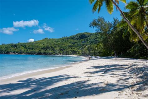 Anse Intendance Beach Mahe Seychelles Tropical Beach With Palm Trees