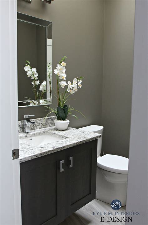 How to choose the best colors for your bathroom remodeling project with photo gallery of ideas, painting tips colors for walls act like the textiles and decorative accent pieces of other larger interior rooms. Small bathroom powder room in Sherwin Williams Anonymous ...