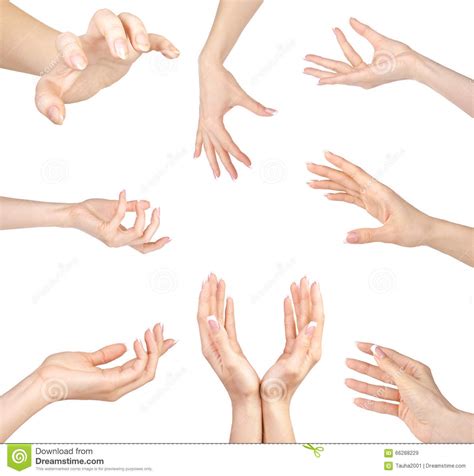 collage of woman hands gestures set on white stock image image of love collage 66288229