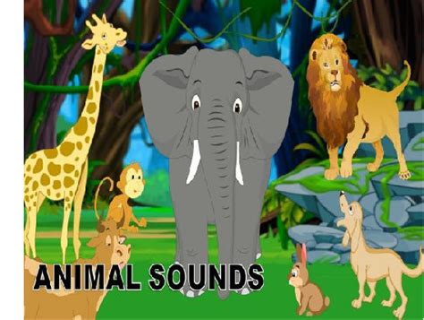 Jungle Animal Sound Fx 動物 効果音 Unity Asset Store