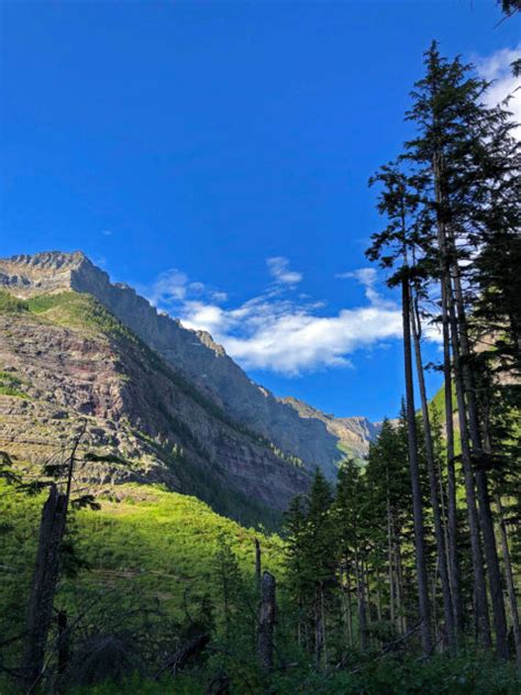 Stunning Avalanche Lake Trail Gem In Glacier National Park Hiking Guide