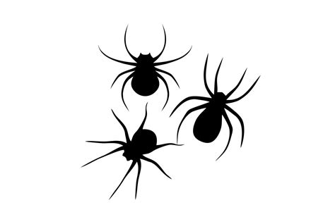 Halloween Spider Cutout Gráfico Por Patternhouse · Creative Fabrica