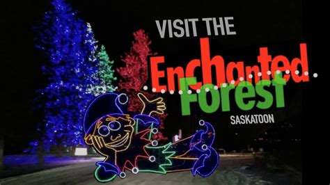 The Saskatoon Enchanted Forest Holiday Light Tour Youtube