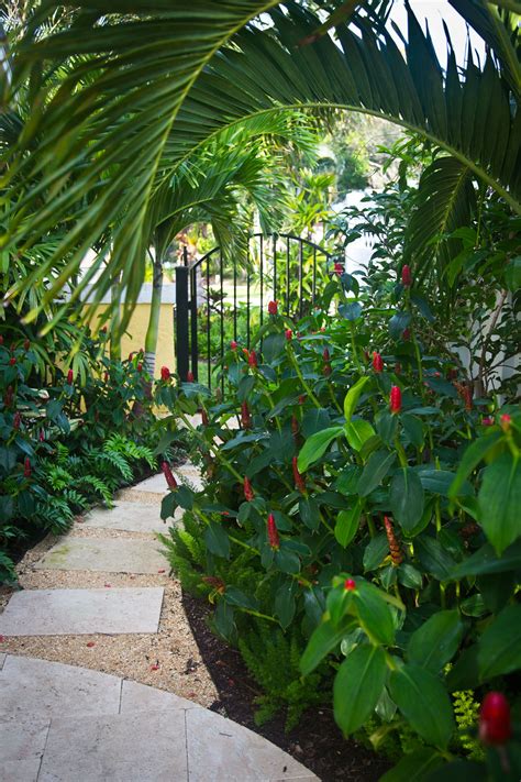 Tropical Walkway In South Florida Backyard Design Backyard