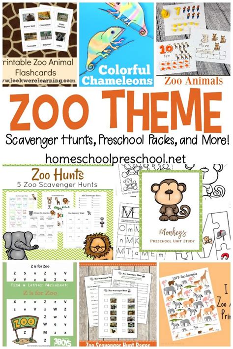 25 Preschool Zoo Printables And Activities Zoo Preschool