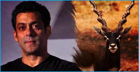 Salman Khan Gets 5 Year Jail Time In 20 Years Old Blackbuck Poaching Case
