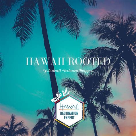Guidelines for traveling to hawaii ready booking hotels, flight, restaurant for trip tourist now. Does Hawaii Still Have Mandatory Quarantine - NEVACIE