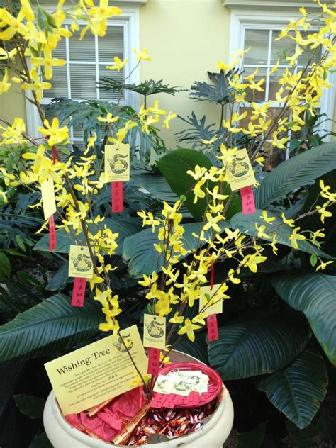 One chinese new year's day (the exact year is not known now), a family attached their 福 (fu) upside down as a careless mistake. Chinese new year wishing tree | School of Humanities and ...