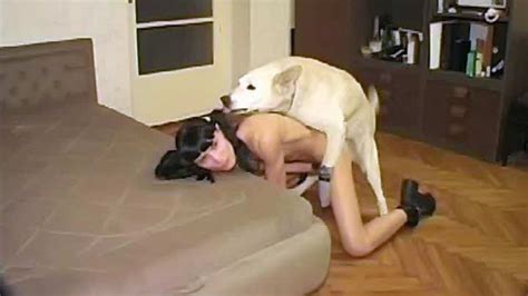 Bestiality Between A Slut And A Dog Thin Hairy Chick Fuck