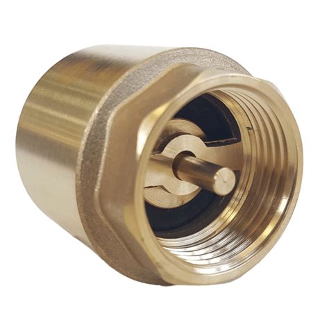 Brass Non Return Valves Spring Loaded Hose And Accessories From Pump