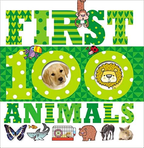First 100 Animals Make Believe Ideas 9781783935291 Abebooks