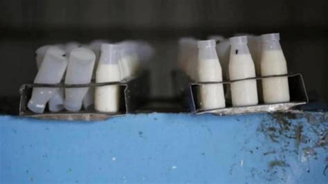 Noida Cops Caught Stealing Milk Packets Shunted India Today
