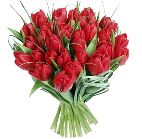 25 красных тюльпанов — заказать/купить цветы на дом с курьерской ...