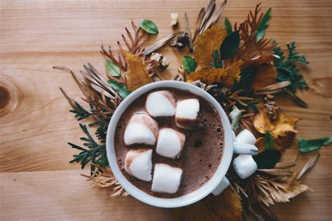 Hot Chocolate Free Stock Photo Public Domain Pictures